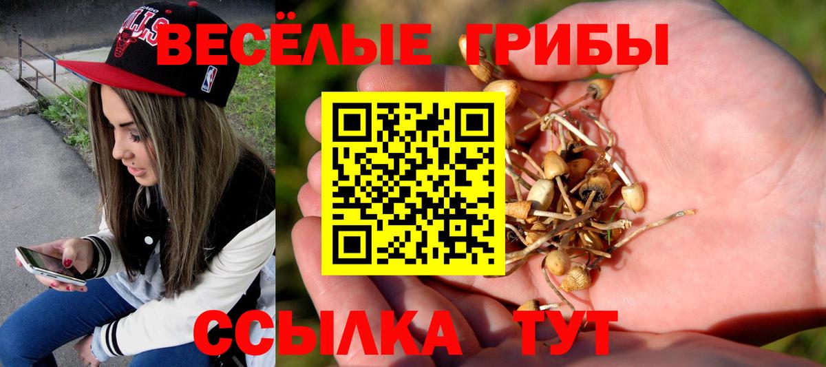 Псилоцибиновые грибы Magic Shrooms  Псилоцибиновые грибы ЛСД  где купить наркоту  Нижнеудинск  Вход с VPN 